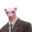 Sir Dr. Bingo Esquire M.D. P.I.