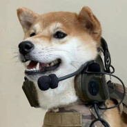 船到桥头自然沉