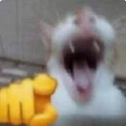 hehe