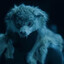 niga howl hiller