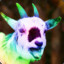 Regenbogen Zeige