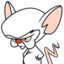 Brainzin