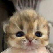 R@$$лаБь©Я дЕt04k@