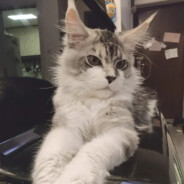 还好梦到了你 可惜只是