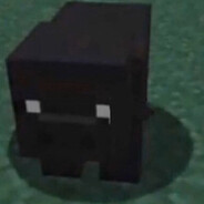 PIGGA