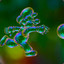 _Soap_Bubble_