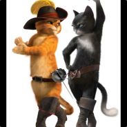 bear-aiki cobaltlab.tech