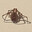 Pug_Z