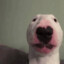 dooz