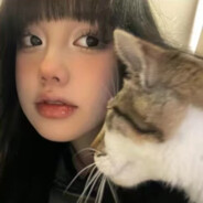 我是菜鸡别骂我