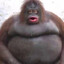 peter griffin