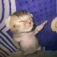 黄皮耗子