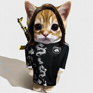 donk Steam avatar