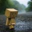 Danbo