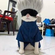 Catoru