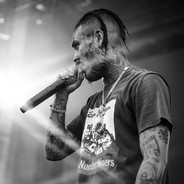 накуренный кот