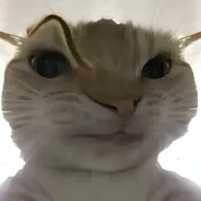 w0nder-