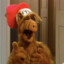 ALF