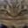 EVIL VORPER
