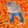 Bean Rat avatar