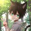 夜喵cats