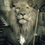 Hakan_1521
