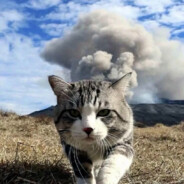 不打11点以后的游戏