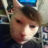 ......