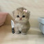 yooom1ch