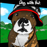 Dog With Hat