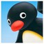 Pingu