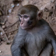 你说爱自有天意