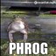 Phrogger