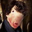 Pig-rat Sherlock