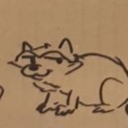 Coonie