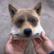 擒贼先擒王先生