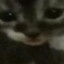Babu Frik