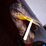 Хорошечно - steam id 76561197961199362