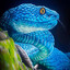 Avatar of Blu3Viper
