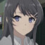 Mai Sakurajima