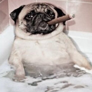 данил колбасенка