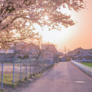 东风夜放花千树