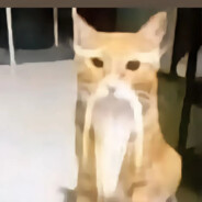 十恶不赦老老爷爷C