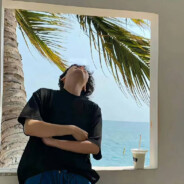 积极向上的阳光菇