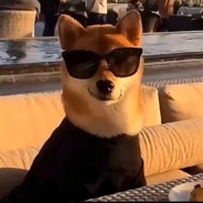 尚衫陇与夏珊琥