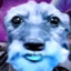 tojuk