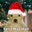 El espíritu de la navidad