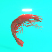 Shrimp God