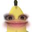 NeMO