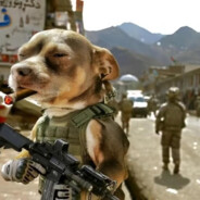 正在匹配的戴尔森灬